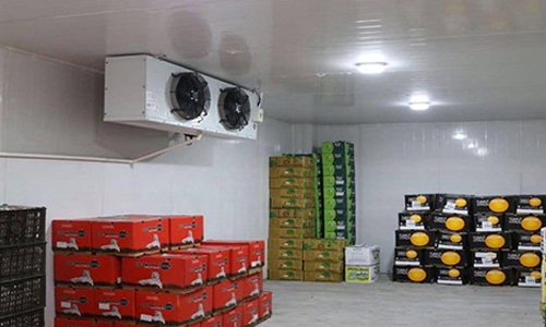 Vegetable Cold Room Manufacturers in Chennai