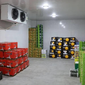 Vegetable Cold Room Manufacturers