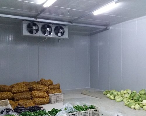 Vegetable Cold Room