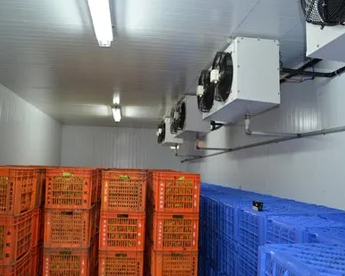 fruits and Vegetable Cold Room Manufacturers